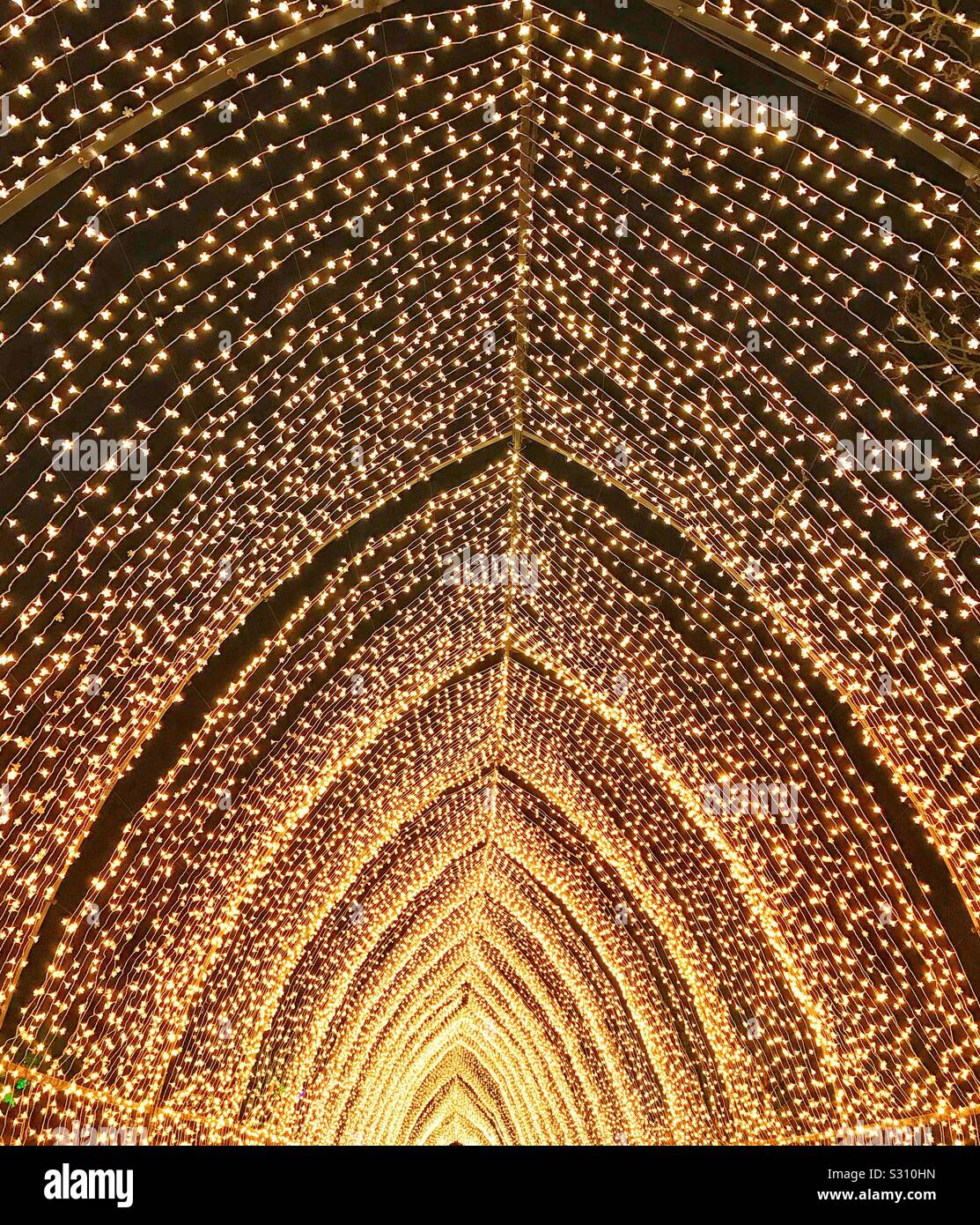 Blenheim Palace Weihnachten beleuchteter Trail 2019. Kathedrale von Leuchten - Smartphone-aufgenommenes Stockfoto