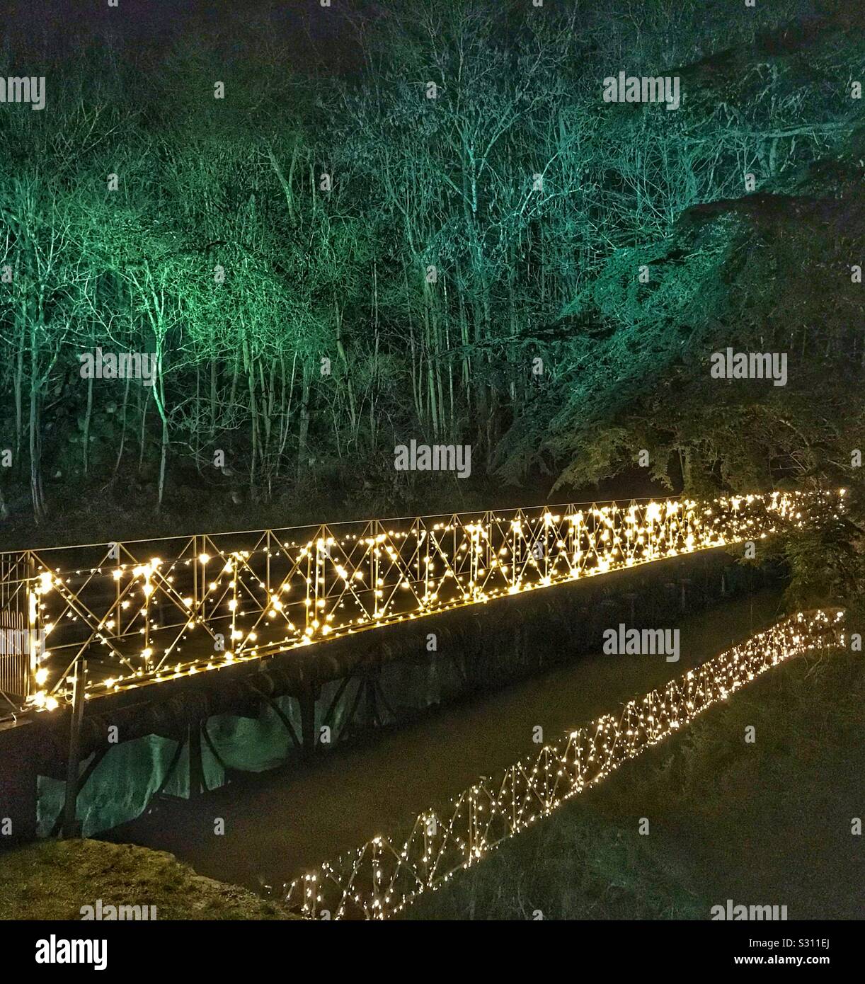 Blenheim Palace beleuchtet Weihnachten Light Trail 2019. Beleuchtete Brücke in den See und die Bäume hinter mit grünen uplighting. Stockfoto