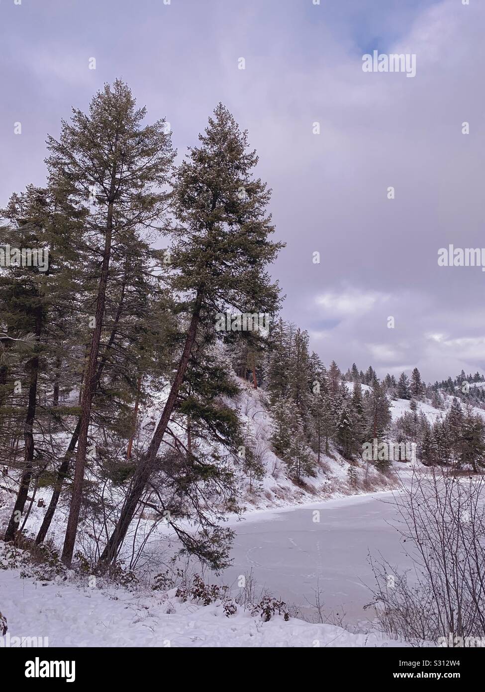 Schnee bedeckt immergrüne Bäume am Ufer eines kleinen zugefrorenen See. Stockfoto