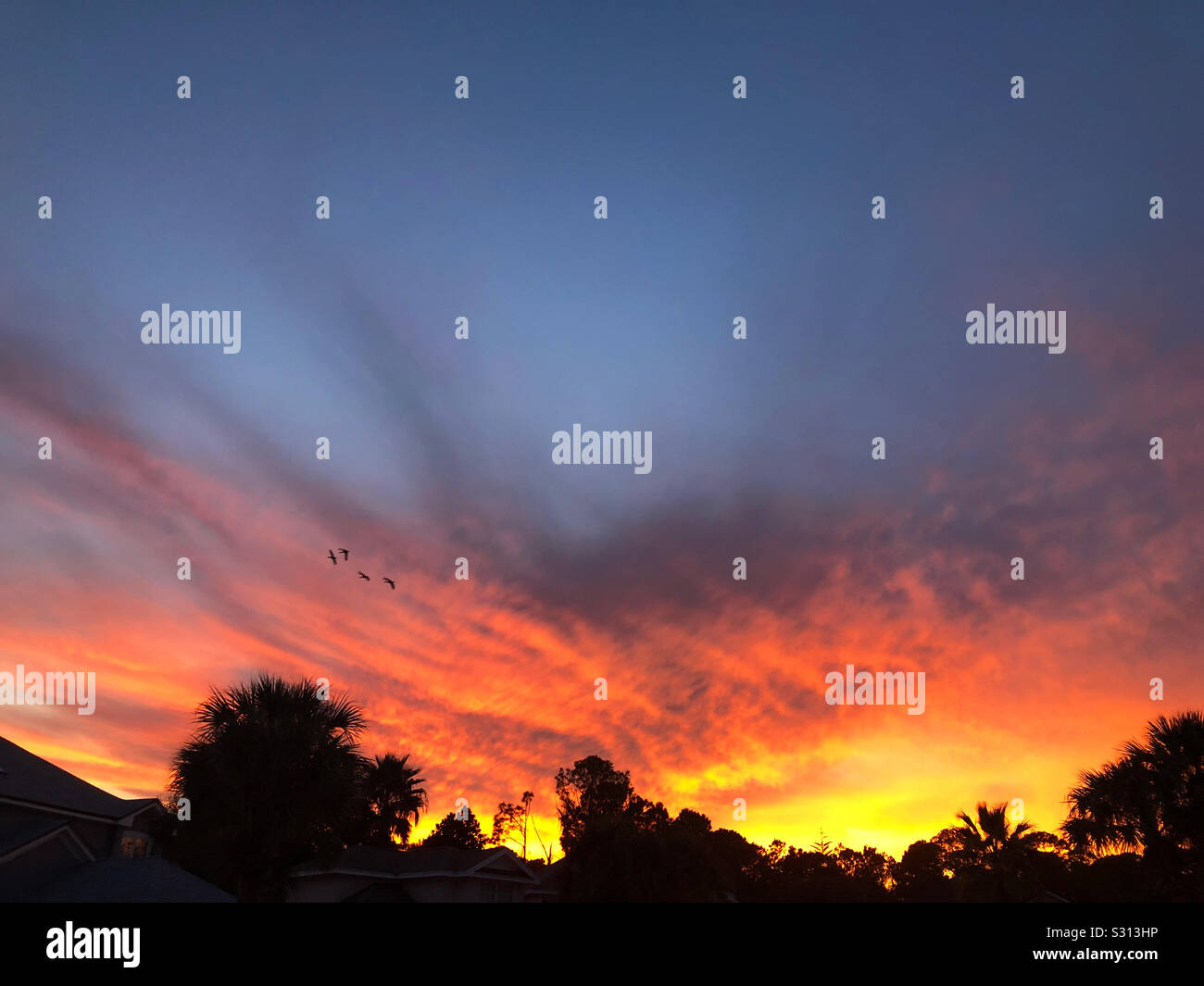 Sonnenuntergang über einem Viertel in Ponte Vedra Beach, Florida, USA Stockfoto