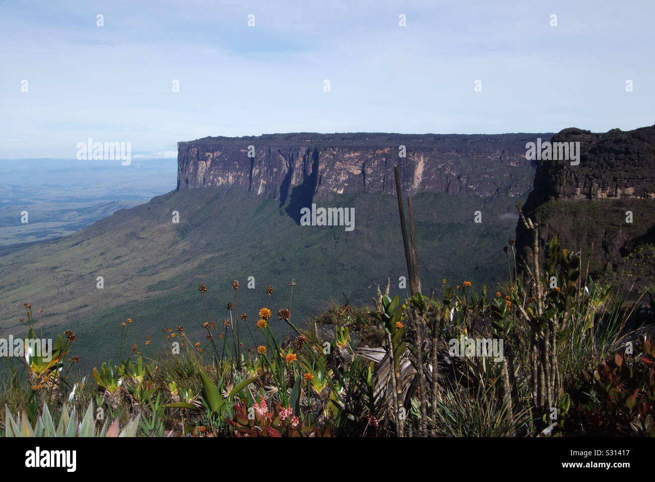 Mount Roraima tepui Plateau, einem Berg, Venezuela, Südamerika, die Inspiration für Sir Arthur Conan Doyle Buch Die Verlorene Welt Stockfoto