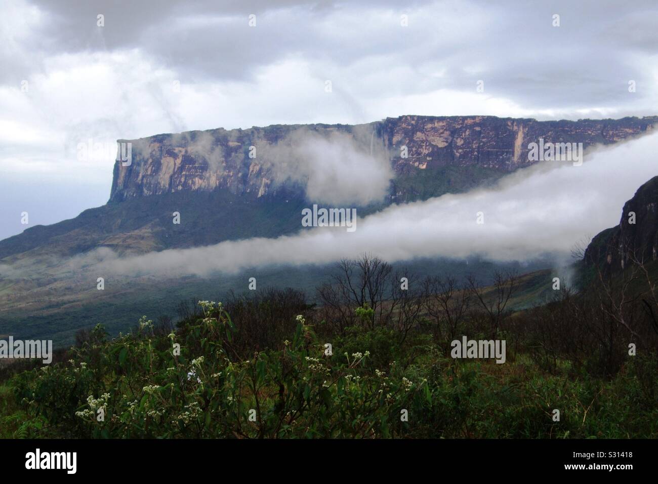Mount Roraima, ein Berg auf dem Tpui-Hochplateau mit Wolkeninversion, Venezuela, Südamerika, Inspiration für Sir Arthur Conan Doyle Buch The Lost World Stockfoto