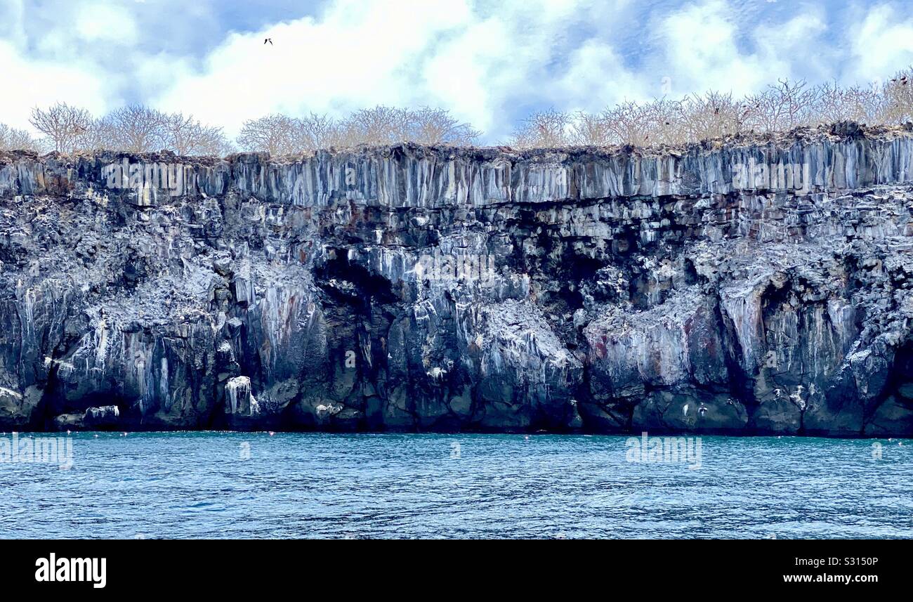 Ocean Cliff bedeckt mit weißen Vogelkot. Isla Genovesa, den Galápagos-Inseln. Stockfoto
