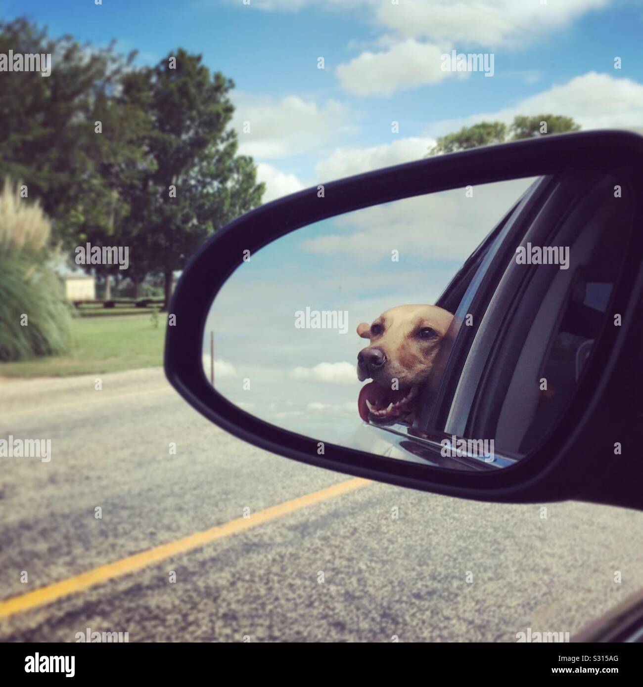 Genießen Sie die Fahrt Stockfoto