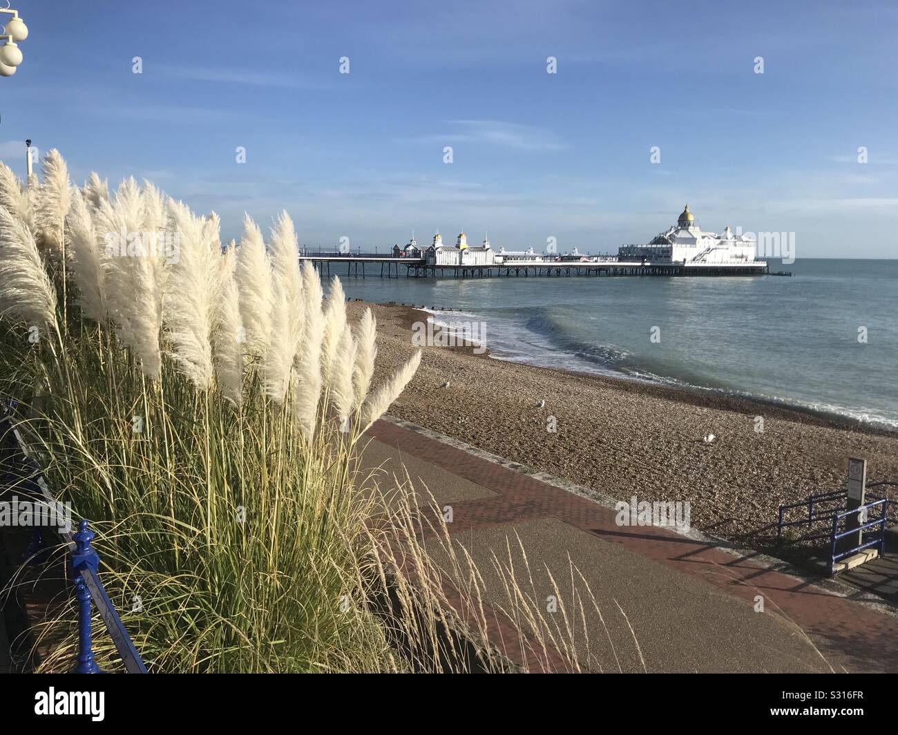 Eastbourne Pier im Winter, mit Zwerg Pampas Gras im Vordergrund. - Smartphone-aufgenommenes Stockfoto
