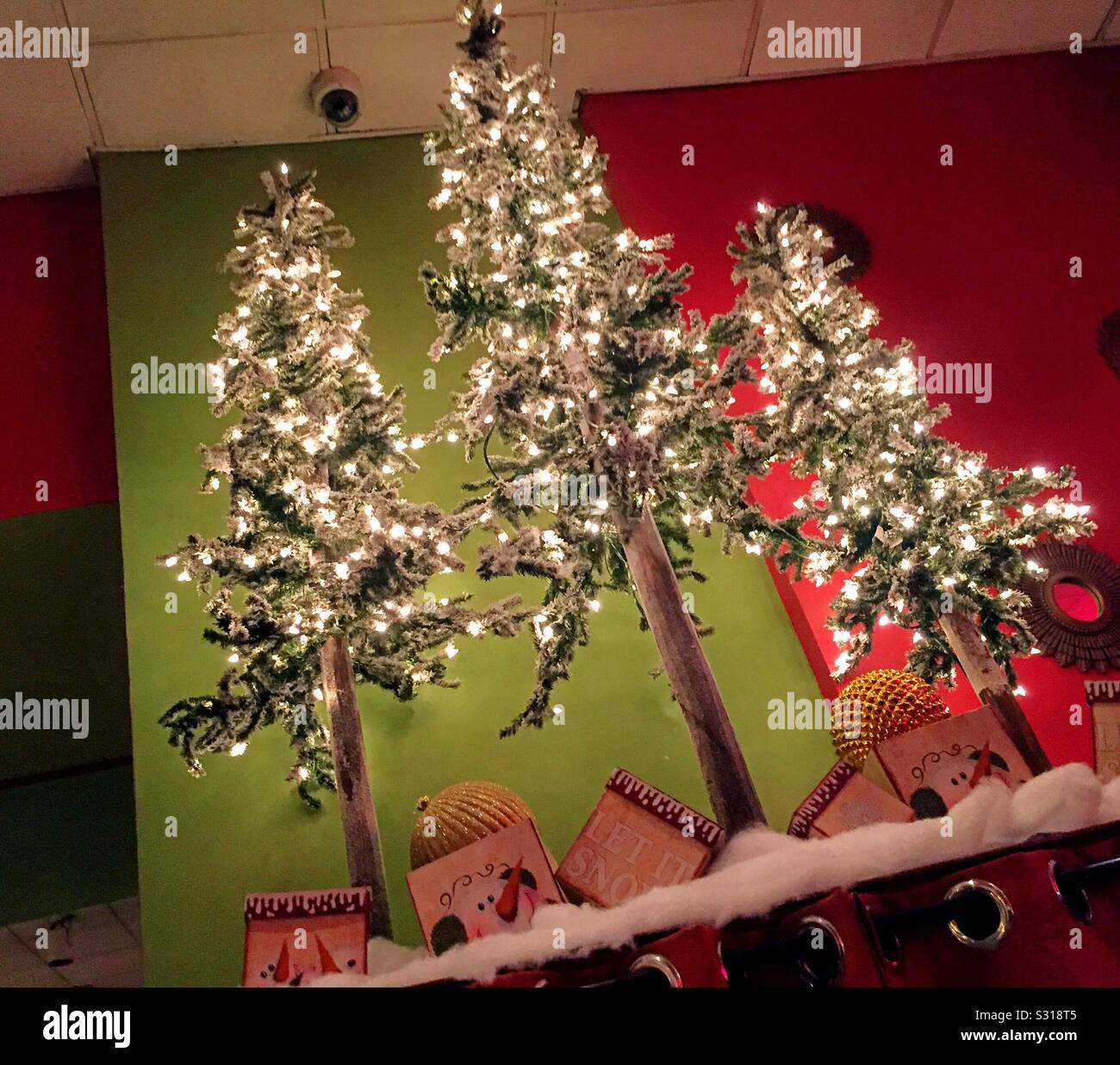 Weihnachtsanzeige von drei Weihnachtsbäumen, die während der Weihnachtszeit hell erleuchtet wurden, USA - Smartphone-aufgenommenes Stockfoto