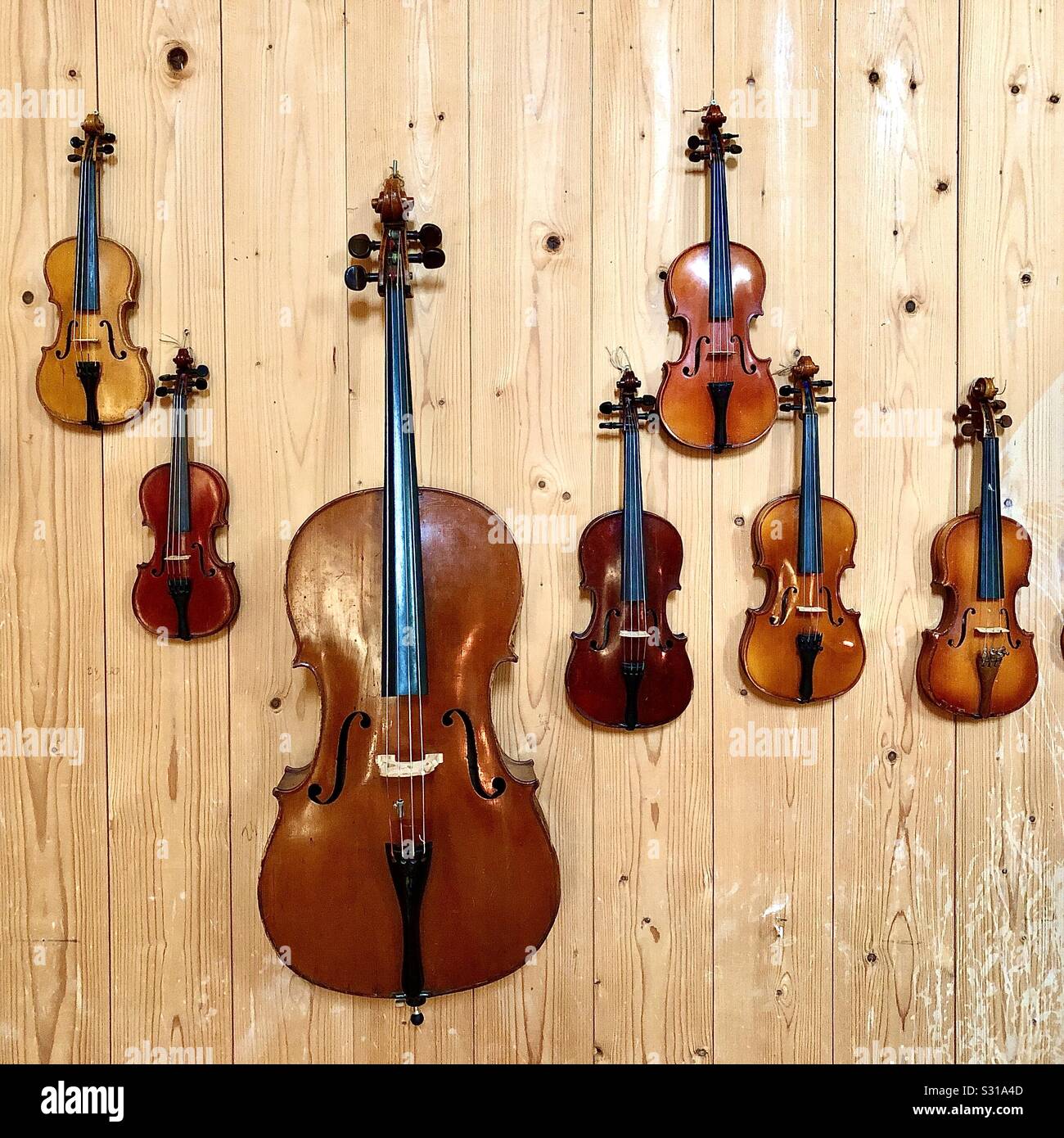 Anzeige von Geigen Musical Instrument Museum, Descartes, Indre-et-Loire, Frankreich. Stockfoto