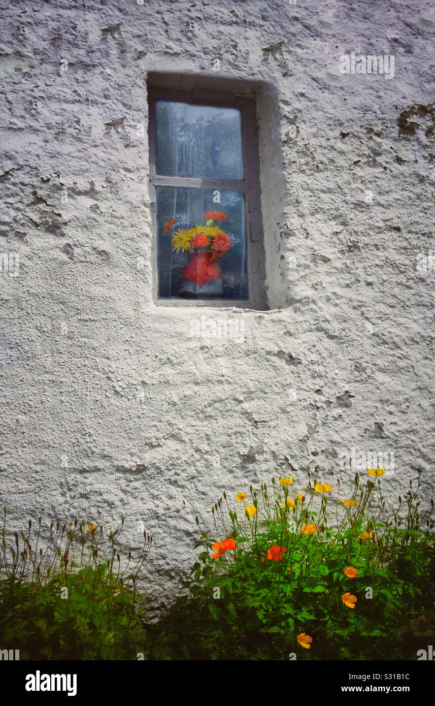 Vase mit Blumen in einem Fenster in einer alten Steinmauer mit abblätternder Farbe und wilde Blumen wachsen außerhalb gegen die Wand gesetzt Stockfoto