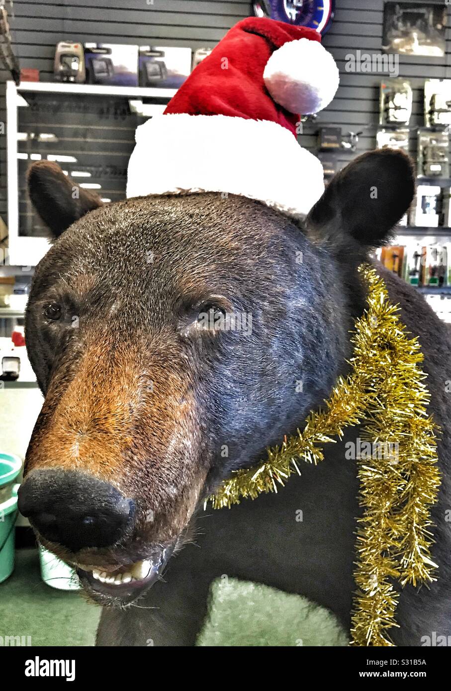 Weihnachtsbär - Smartphone-aufgenommenes Stockfoto