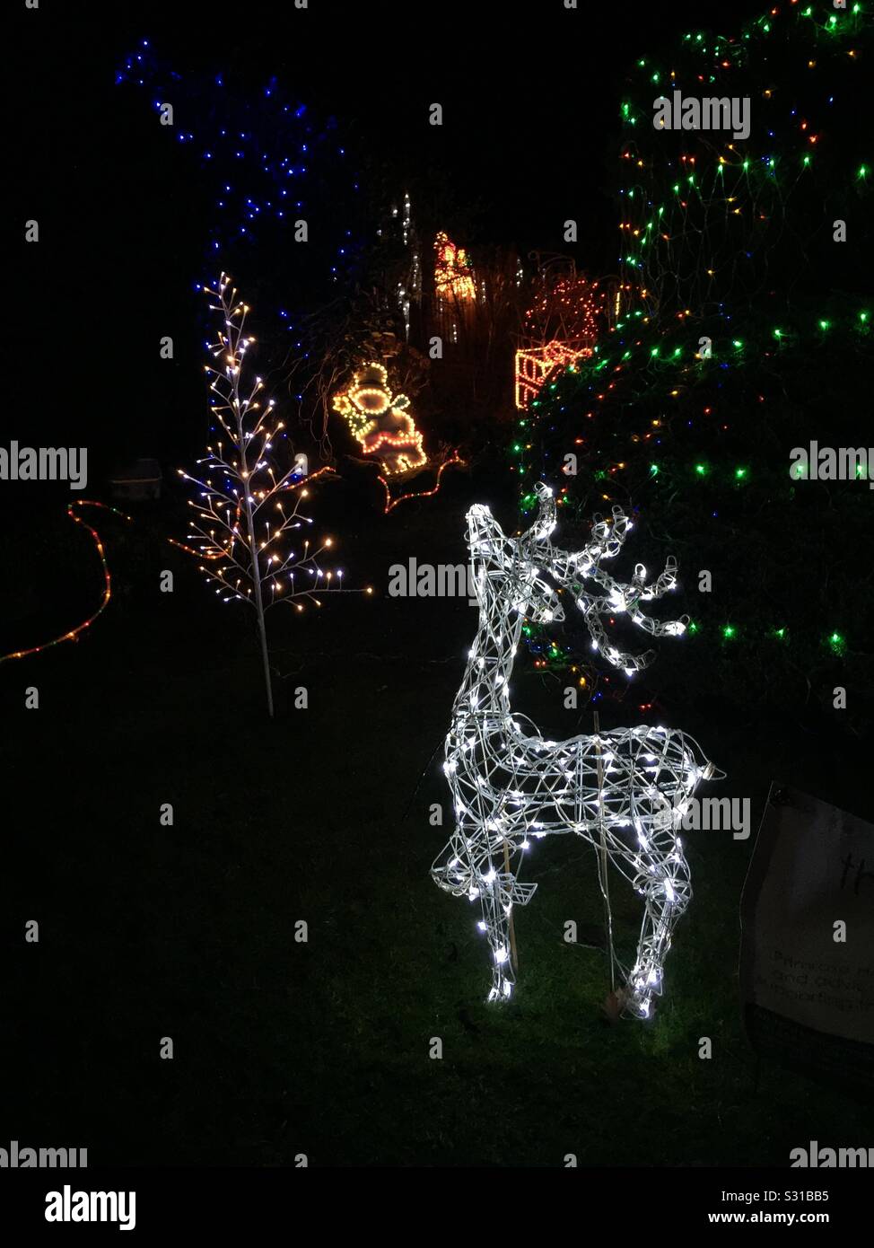 Farbige Weihnachtsbeleuchtung im Garten Lichter von Haus mit weißen Rentier prominentesten vor. - Smartphone-aufgenommenes Stockfoto
