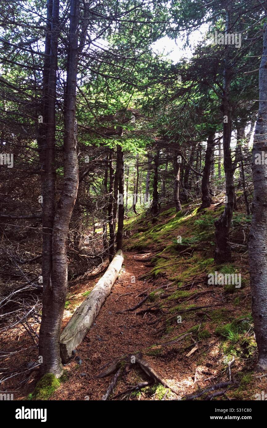 East Coast Trail in NL Stockfoto