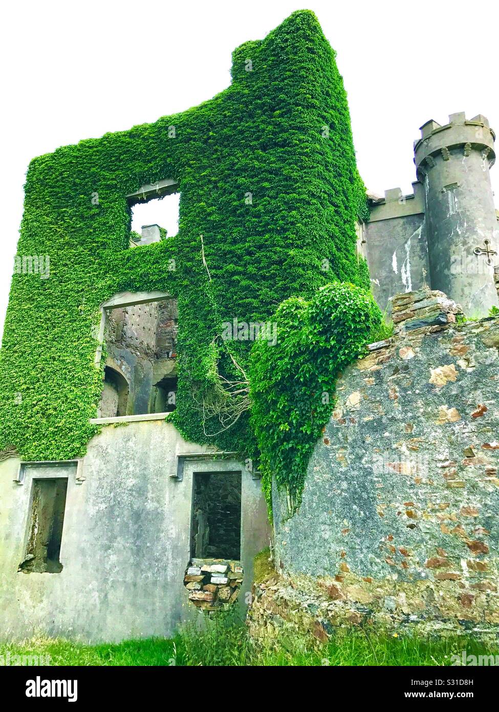 Burgruinen in Irland Stockfoto