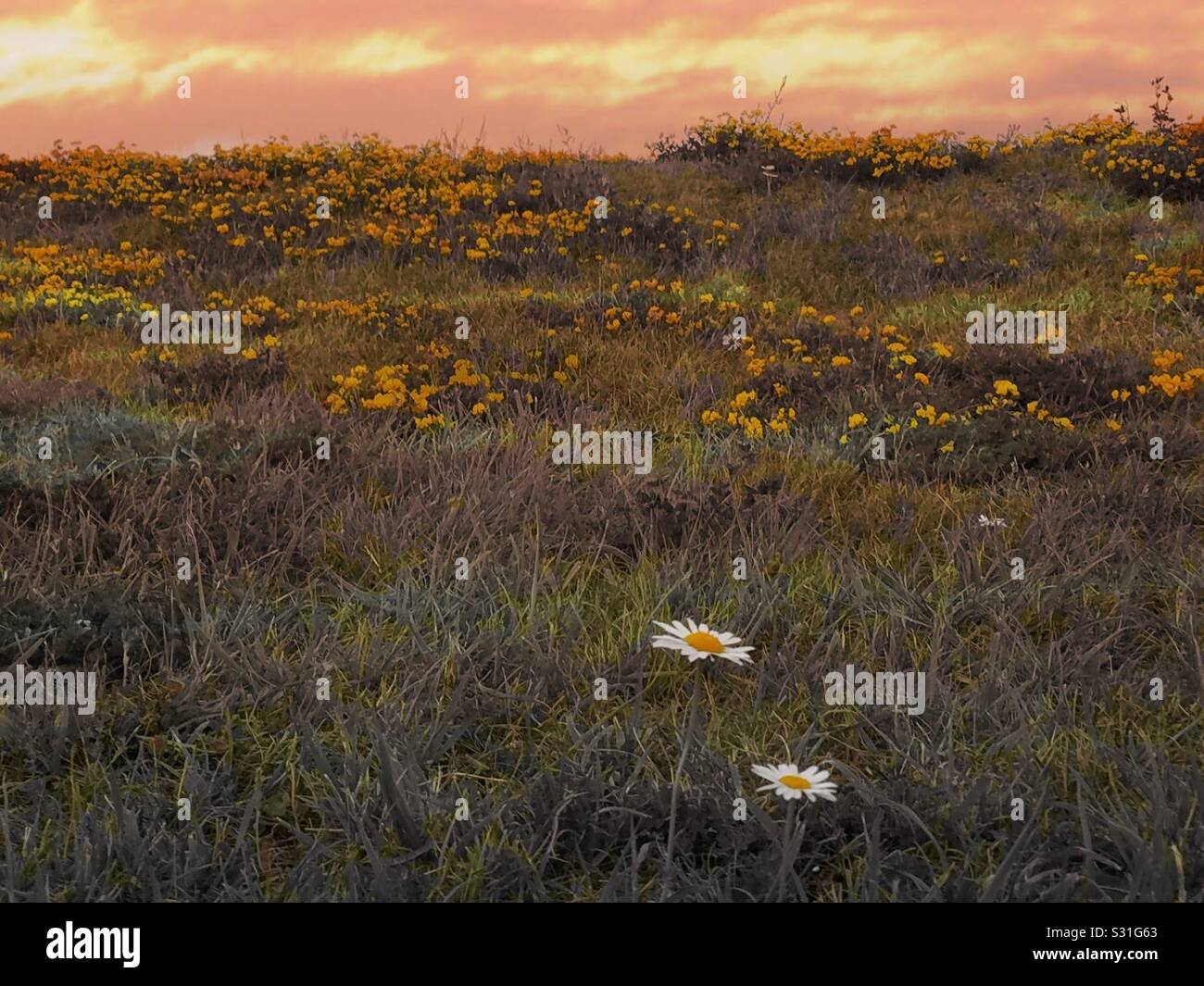 Oben in Michigan Stockfoto