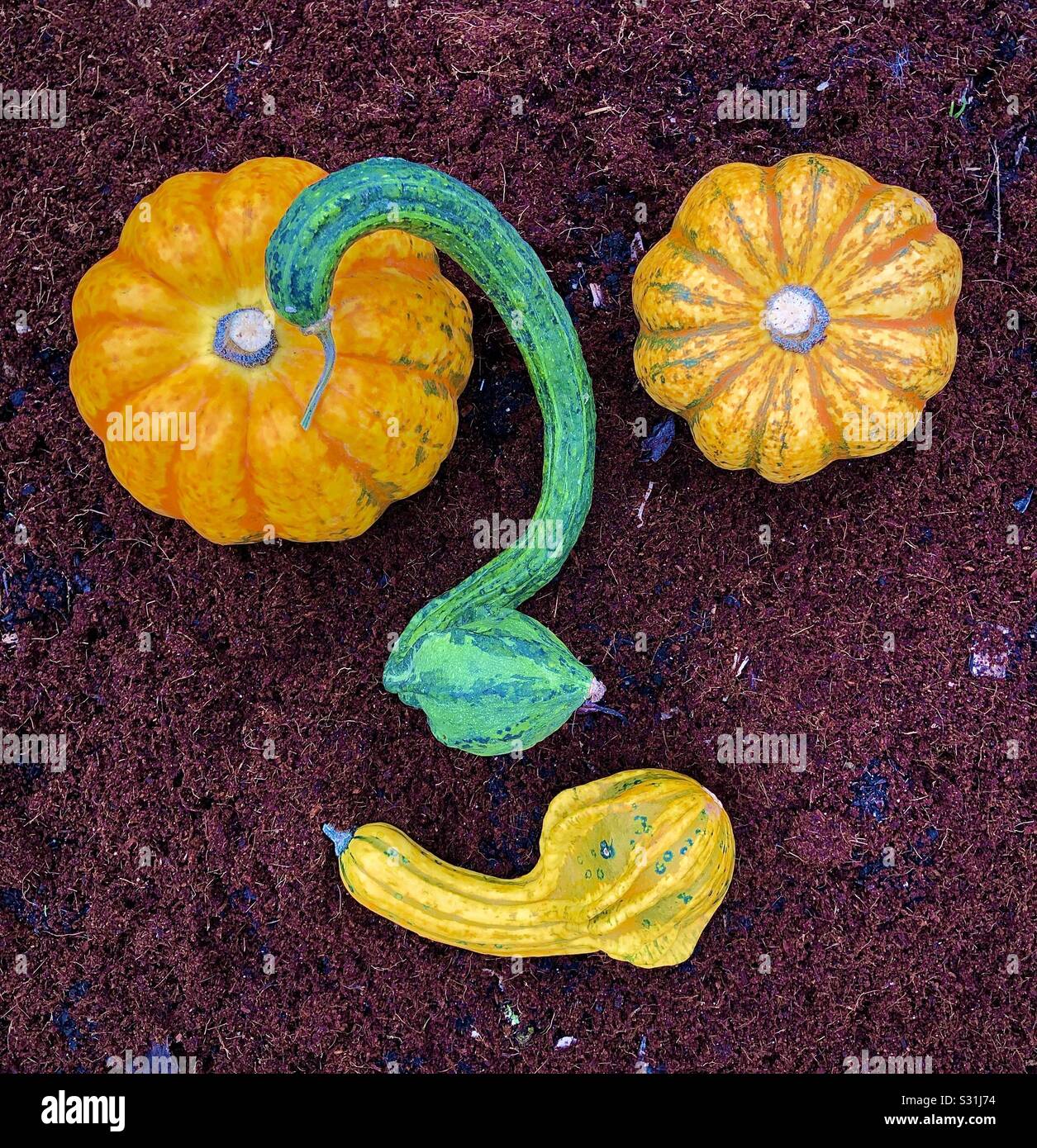 Sommerliches Squash-Happy-Face. Stockfoto