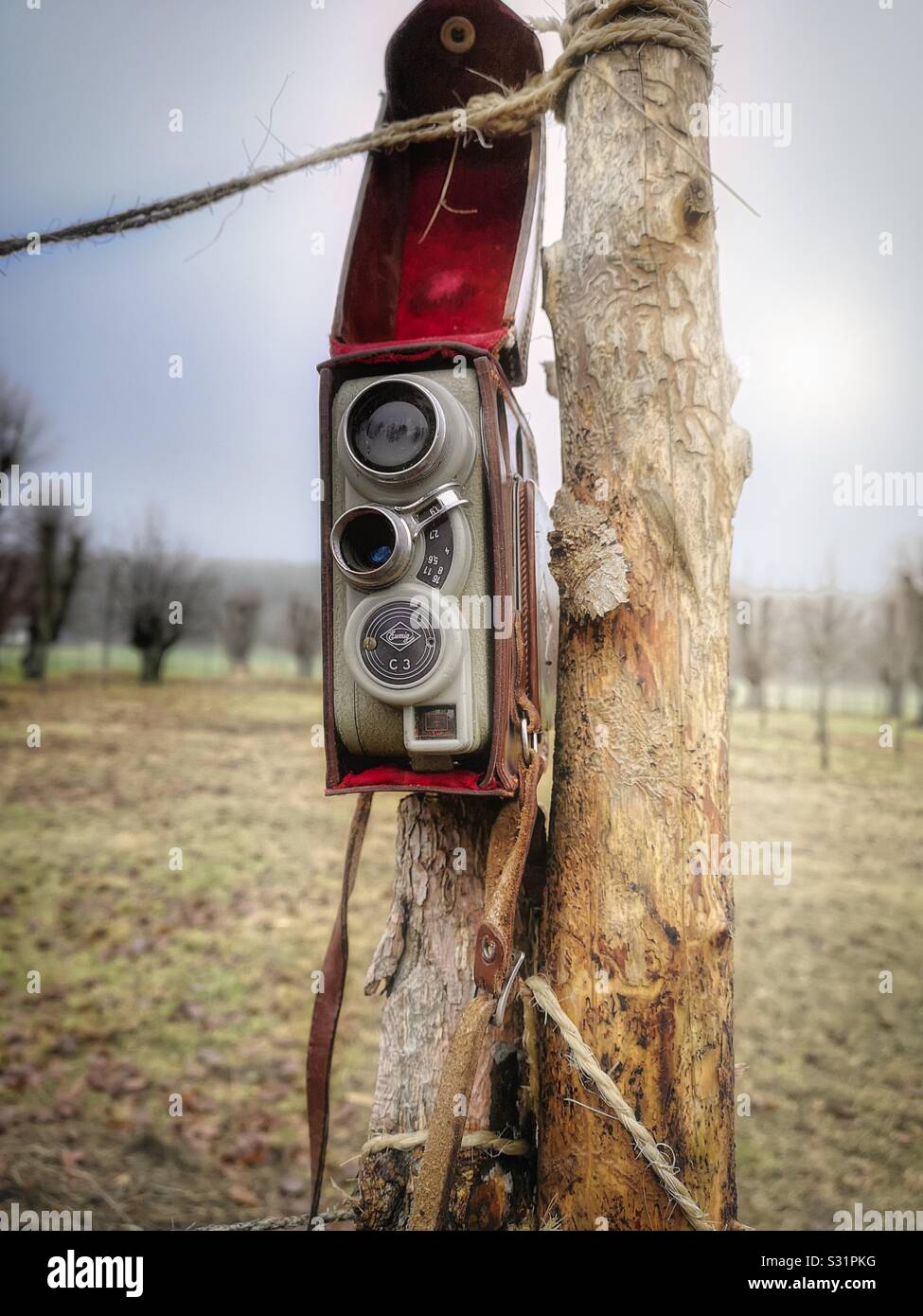 Vintage Retro Film Kamera in Leder Rot Samt ausgekleidet Fall Holz- Pos befestigt - Smartphone-aufgenommenes Stockfoto