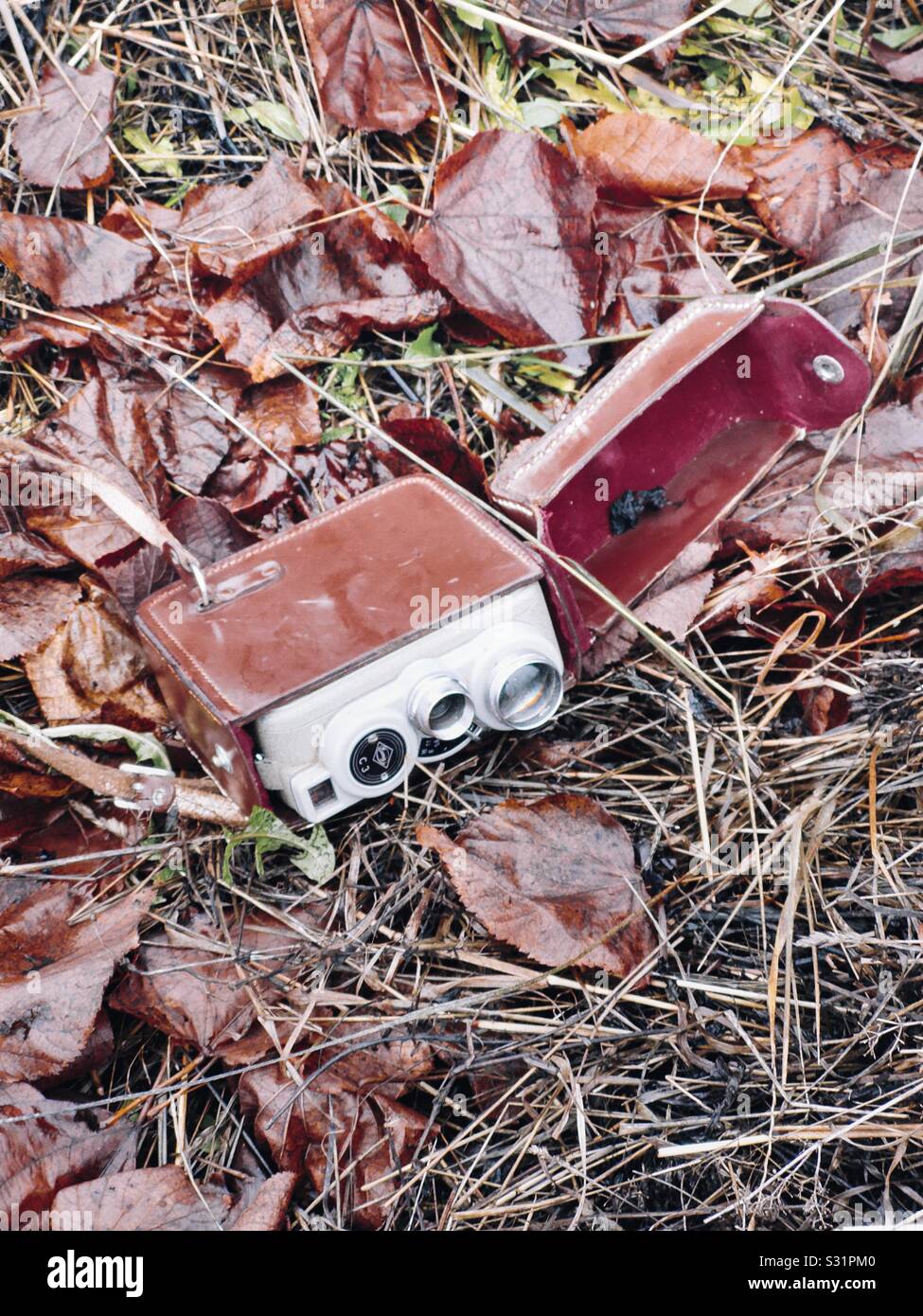 Retro-Vintage-Filmkamera in roter, samtengefütterter Ledertasche unter den Herbstlaub - Smartphone-aufgenommenes Stockfoto