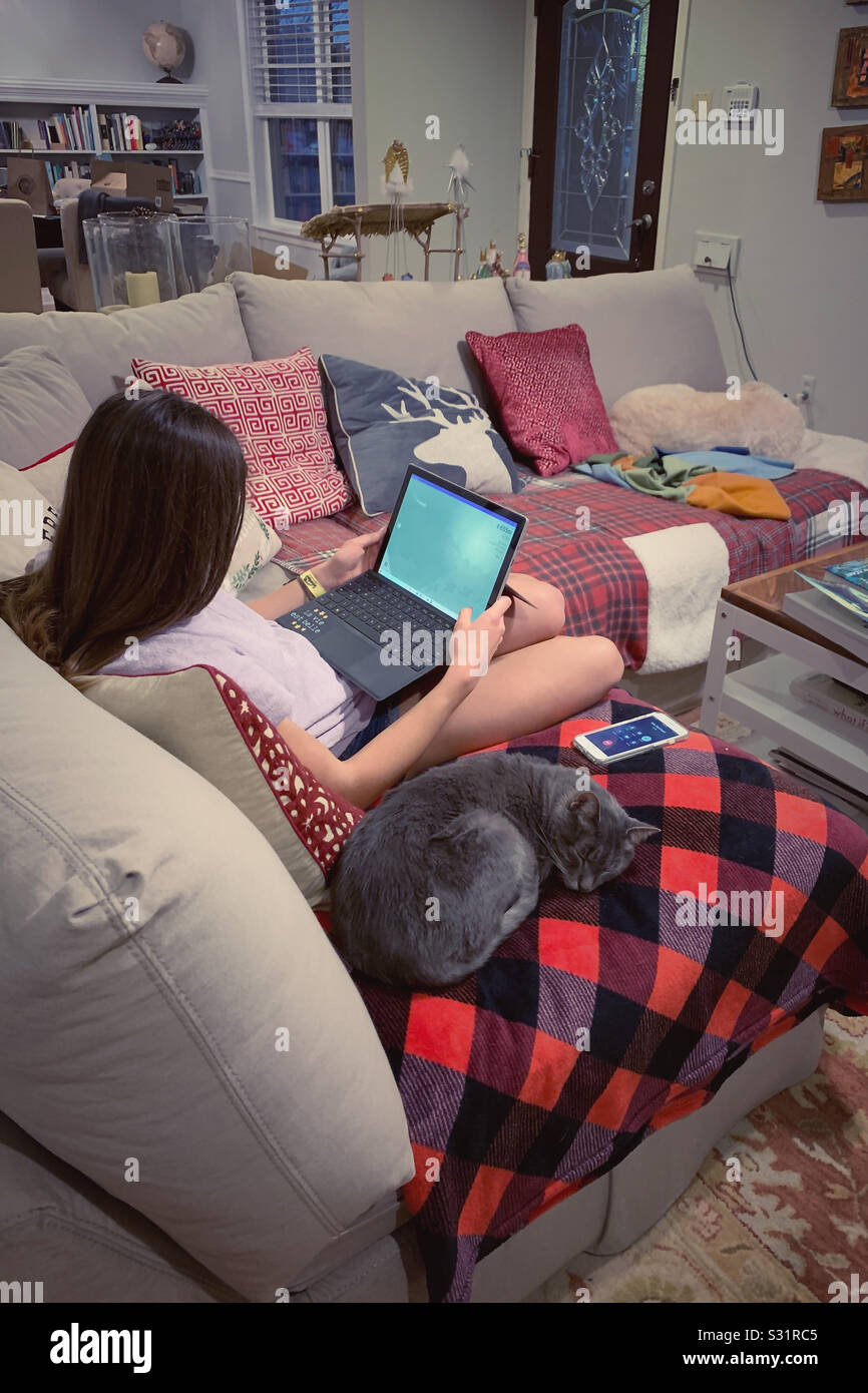 Mädchen arbeitet am Laptop auf der Couch mit Haustieren. Stockfoto