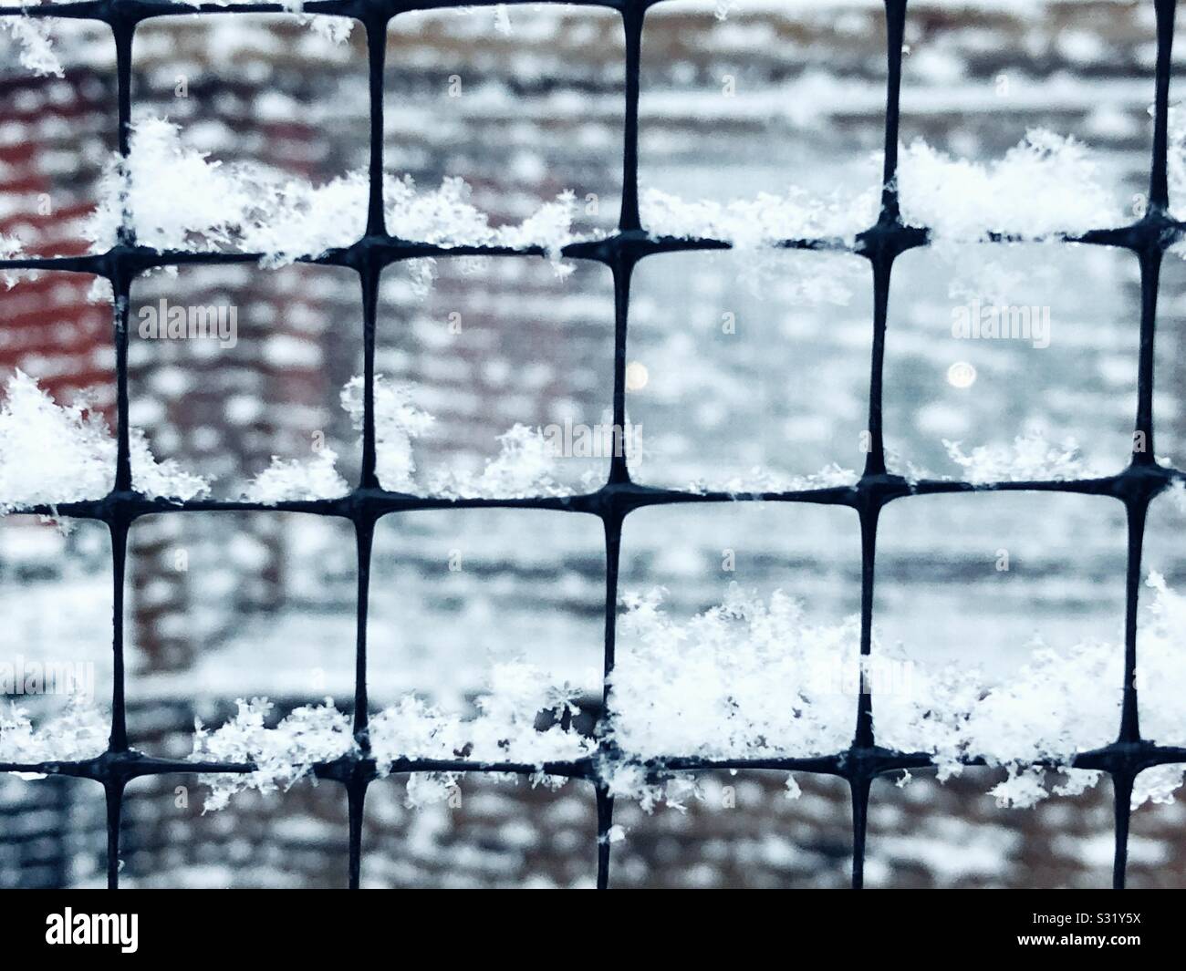 Erste Schneeflocken auf Garten Hirsch Zaun - Smartphone-aufgenommenes Stockfoto