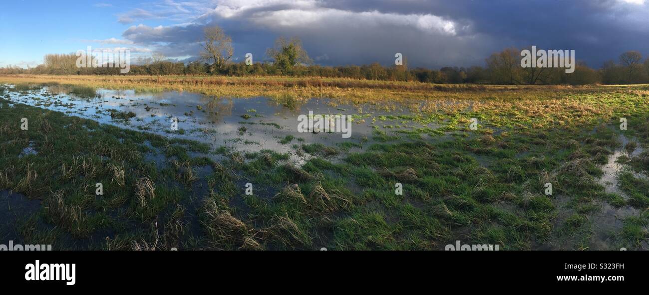 Panoramablick auf die überfluteten Felder in der Stort Tal bei Tednambury in der Nähe von Bishops Stortford Hertfordshire Stockfoto