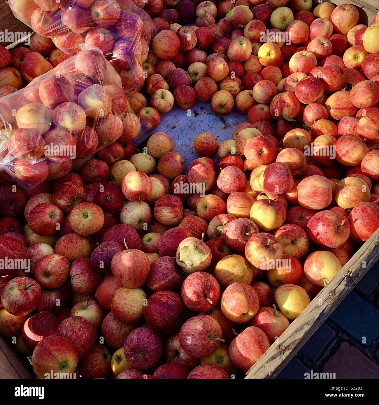 Organische rote "Gala"-Äpfel auf dem Marktstand. - Smartphone-aufgenommenes Stockfoto
