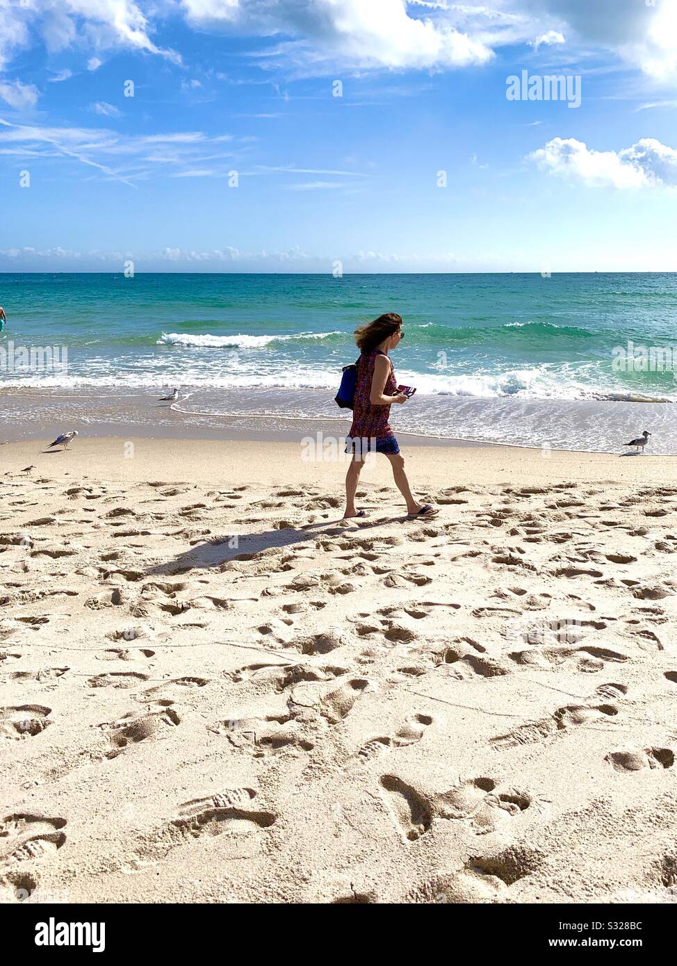 Eine Frau spaziert entlang eines Sandstrands und des Ozeans mit Möwen in der Nähe, Florida. - Smartphone-aufgenommenes Stockfoto