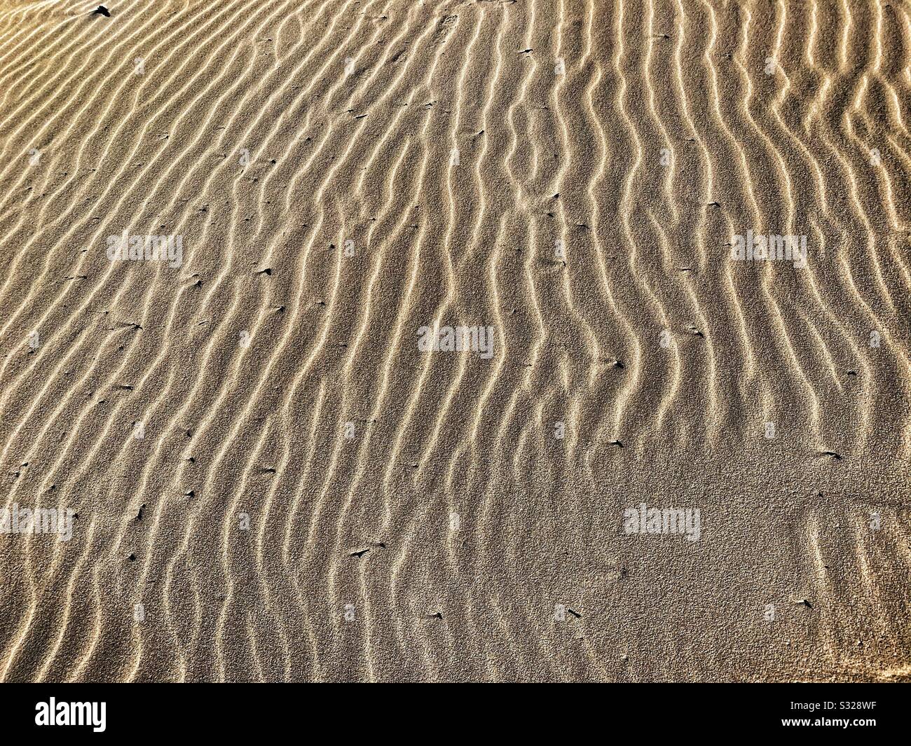 Linien, Wellen im Sand, am Strand, Australien Stockfoto