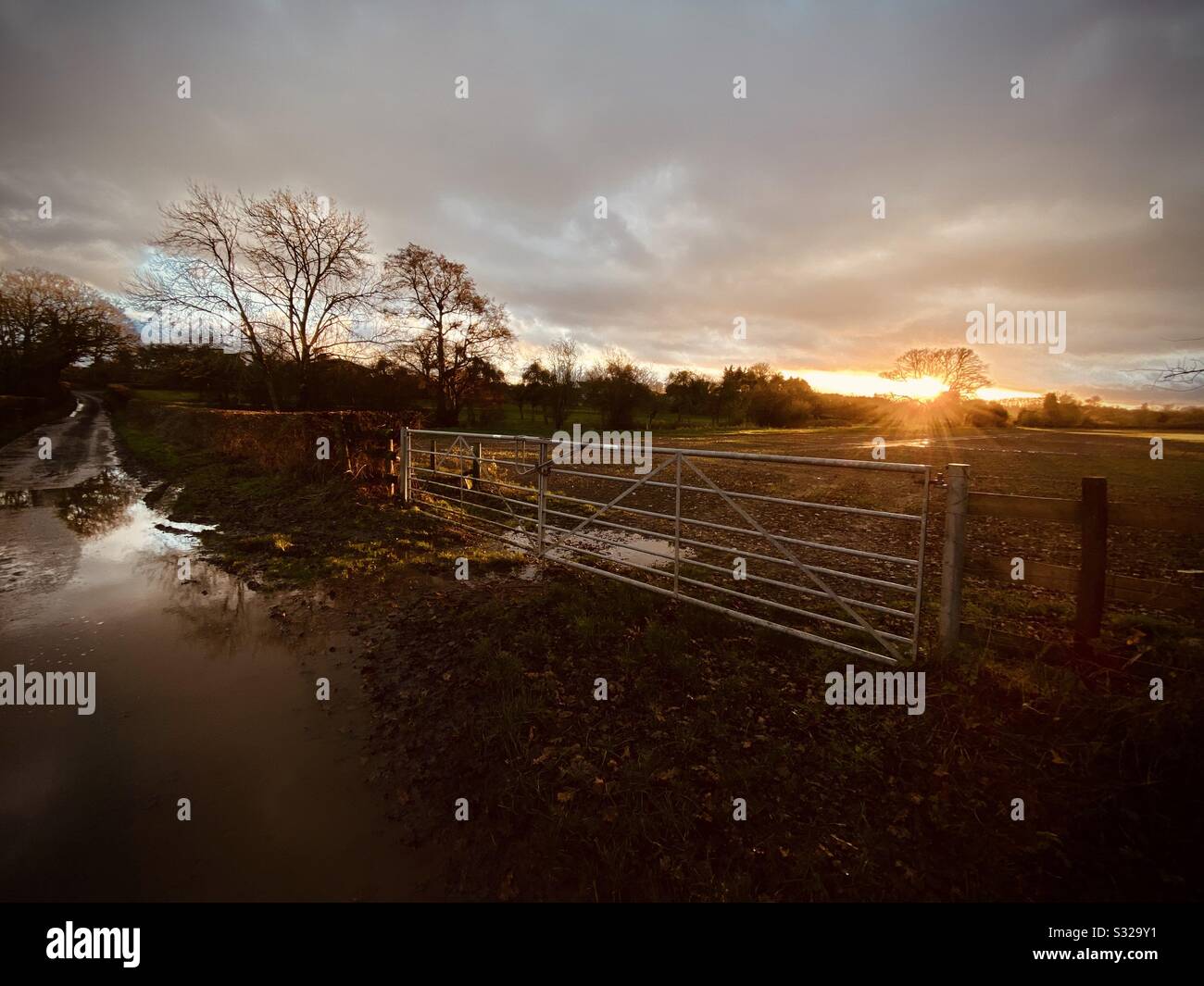 Sonnenuntergang über einem nassen Feld in Dilwyn, Herefordshire Stockfoto