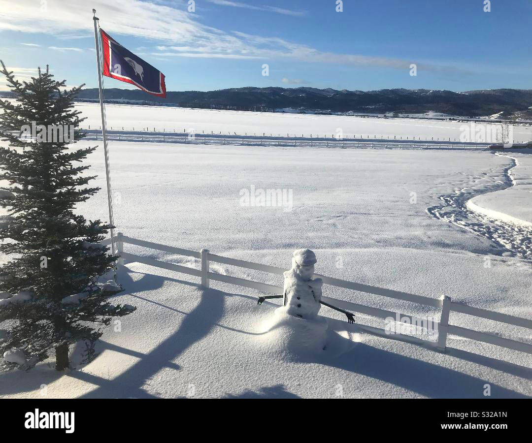 Einsamer Schneemann, der über Ebenen blickt, die zu den Grand Teton Mountains in Wyoming USA führen Stockfoto