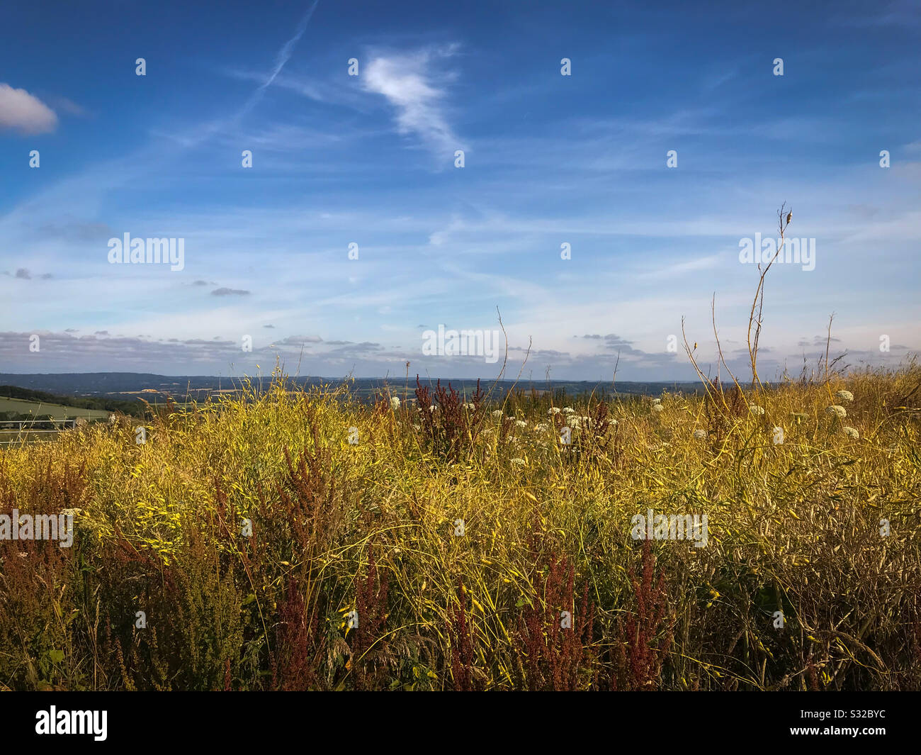 Blick auf den South Downs National Park von Der Teufelswanderung, Treyford Stockfoto