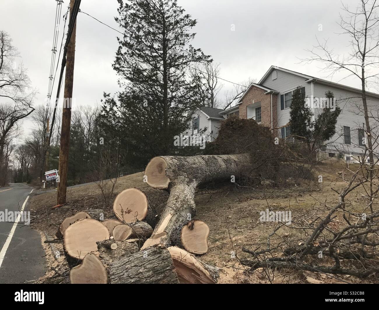 Umgestürzter Baum vor Haus - Smartphone-aufgenommenes Stockfoto