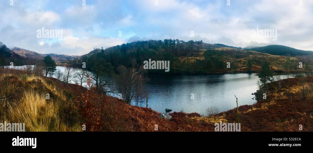Loch Trool, Galloway Forest Park, Dumfries and Galloway, Schottland Stockfoto