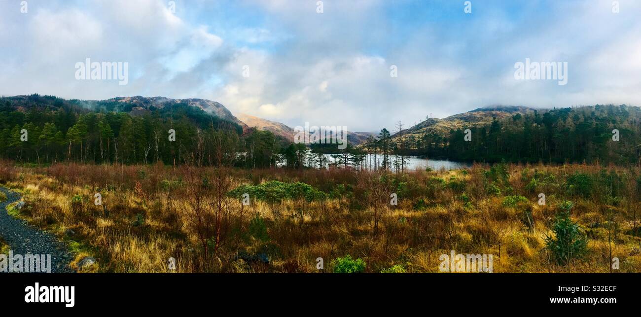 Panoramablick auf Loch Trool, Glentrool, Galloway Forest Park, Dumfries and Galloway, Schottland Stockfoto