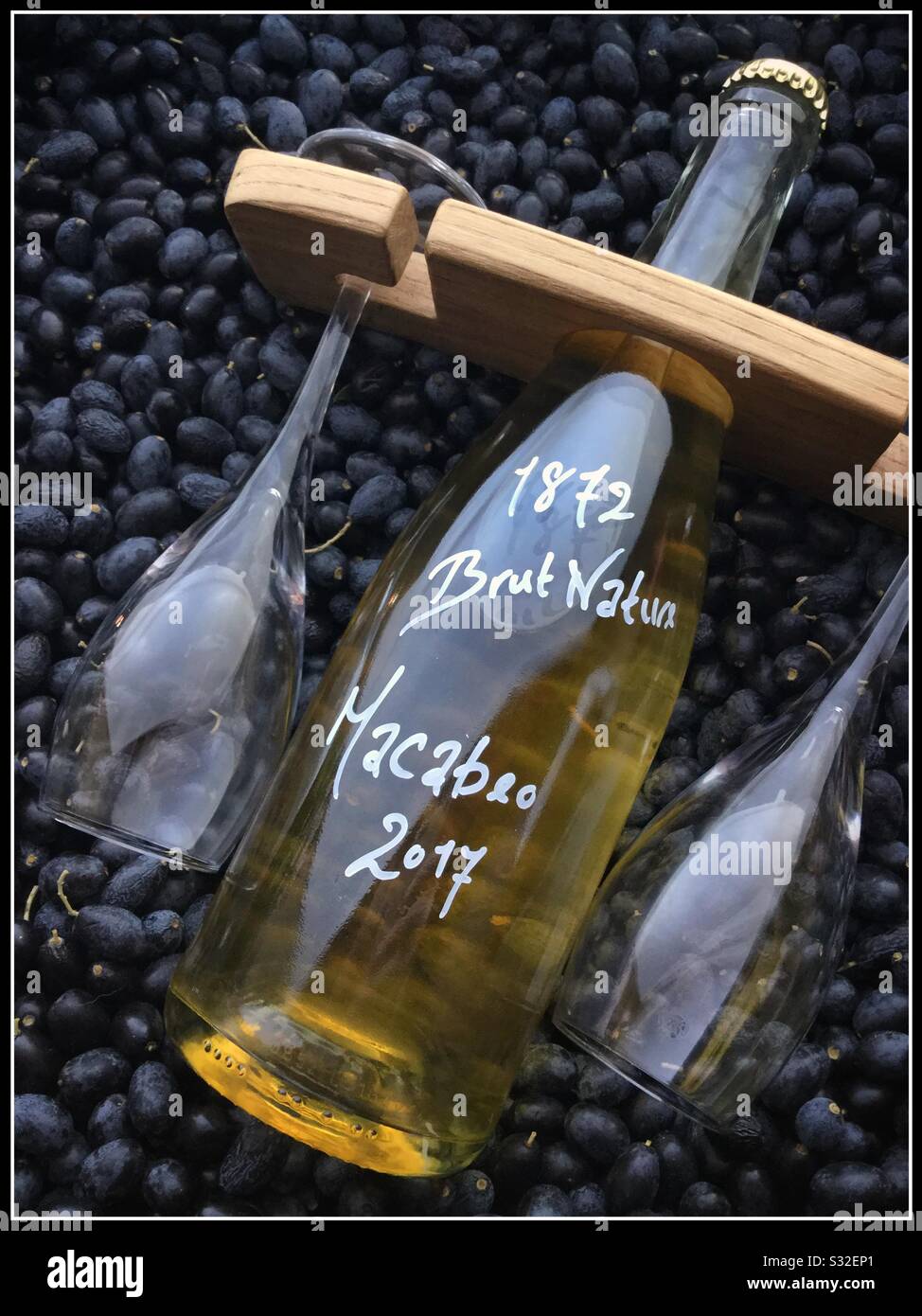 Eine Flasche Sekt mit Flöten auf einem Bett aus schwarzen Oliven, Katalonien, Spanien. Stockfoto