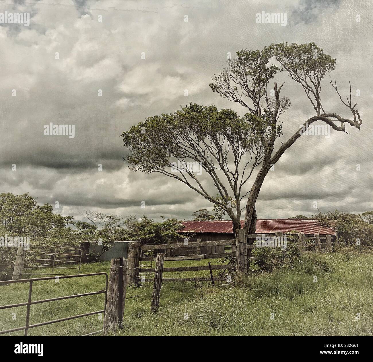 Land Queensland Australien Stockfoto