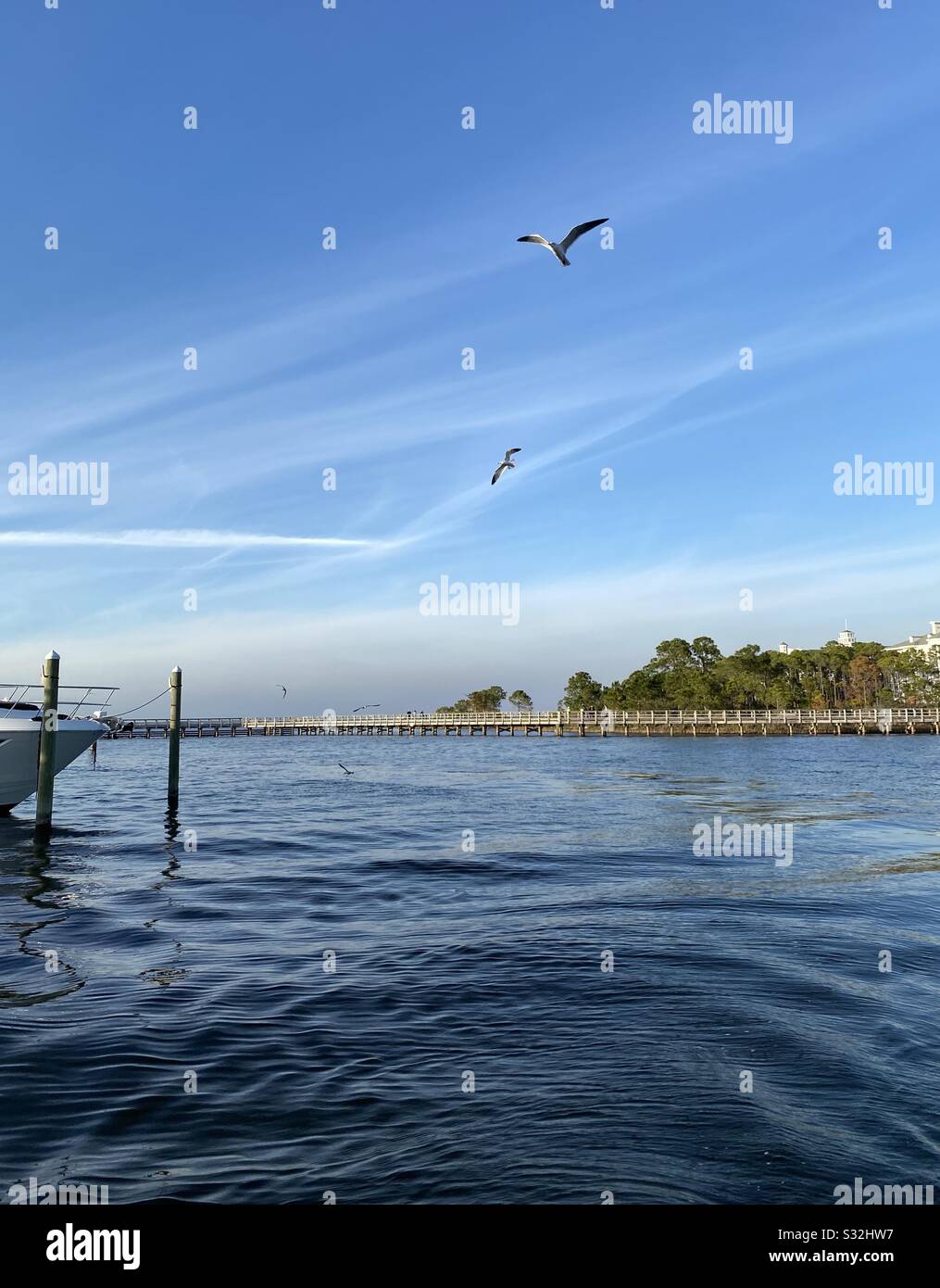 Bootshafen mit Blick auf den langen Pier und die Möwen, die in der Luft fliegen - Smartphone-aufgenommenes Stockfoto