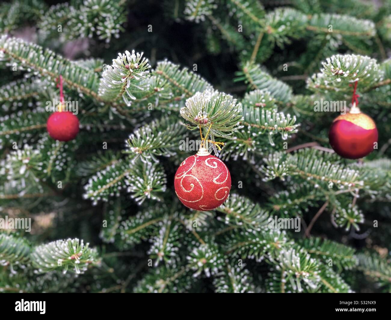 Weihnachten rote Kugeln Stockfoto