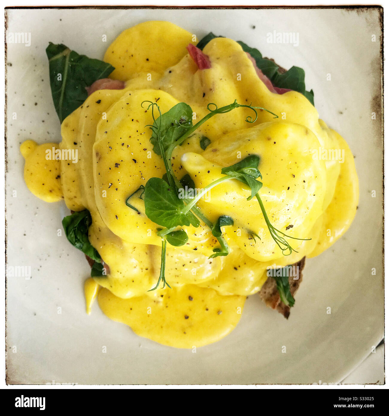Eier Benedict zum Frühstück. Stockfoto