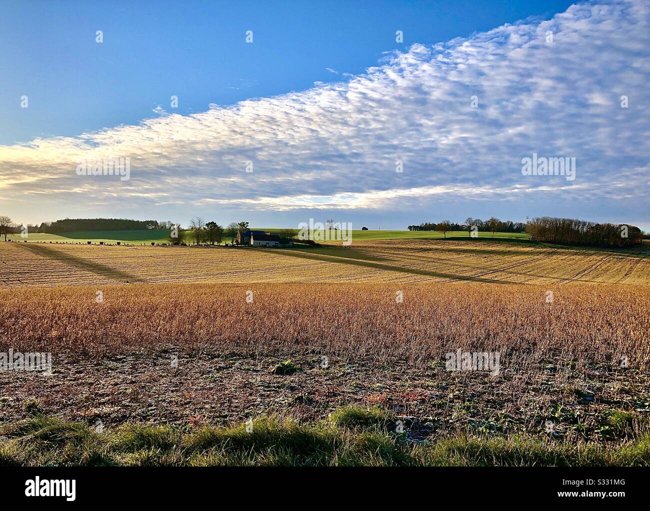Frühmorgendliches Licht über französischem Touraine Ackerland. Stockfoto