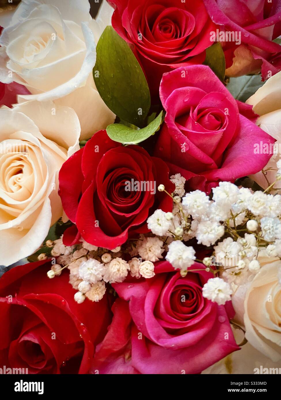Ein wunderschöner Rosenstrauß zum Valentinstag! Stockfoto