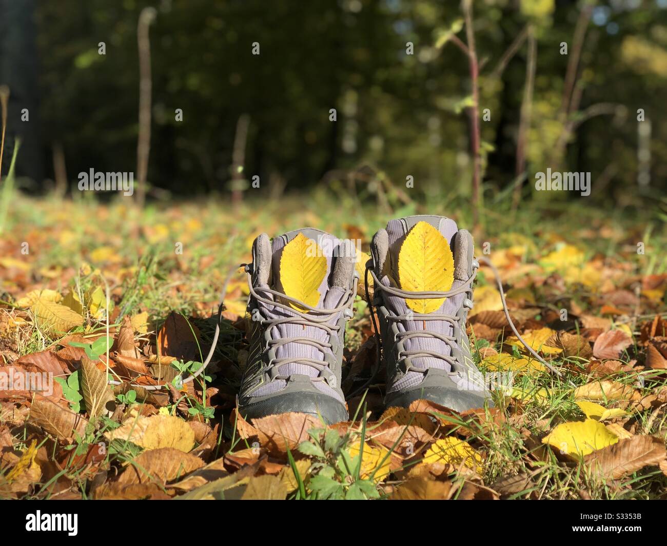 Wanderstiefel im Herbst Stockfoto