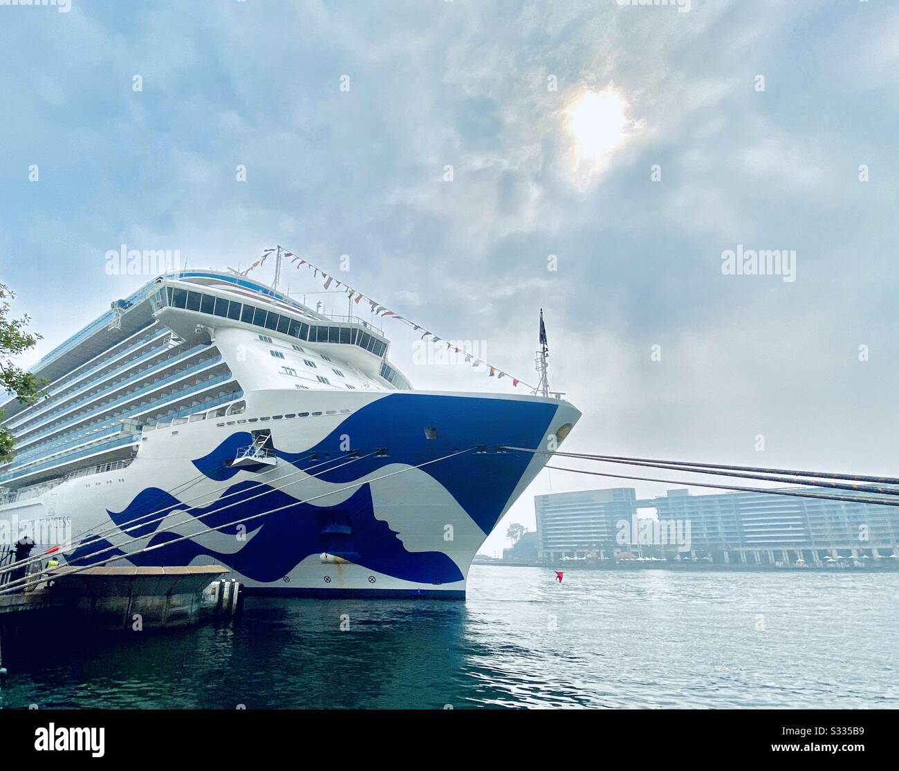 Luxuskreuzfahrtschiff Majestic Princess dockte am Hafen von Sydney an - Smartphone-aufgenommenes Stockfoto