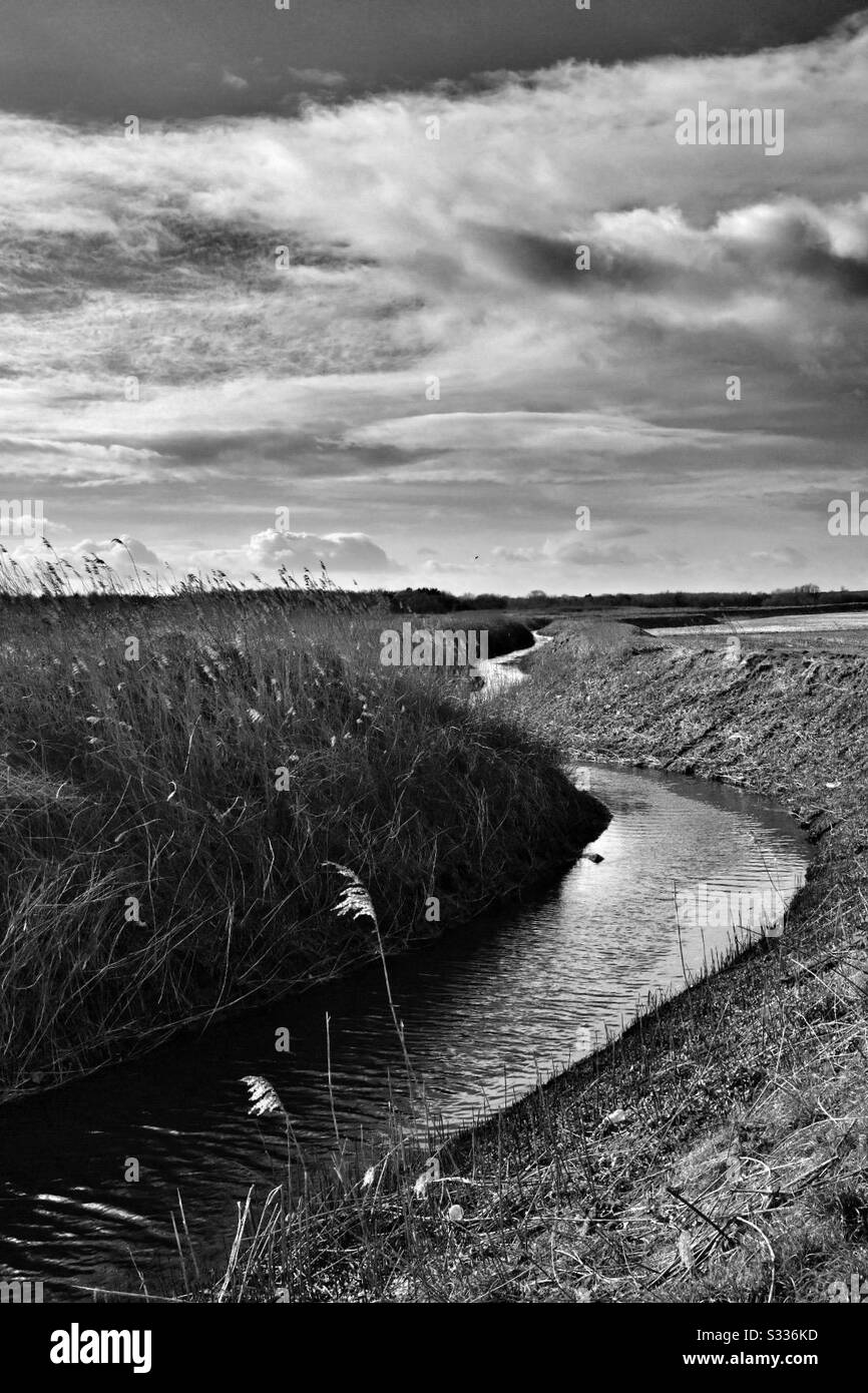 Moody Winter Water Mono Stockfoto