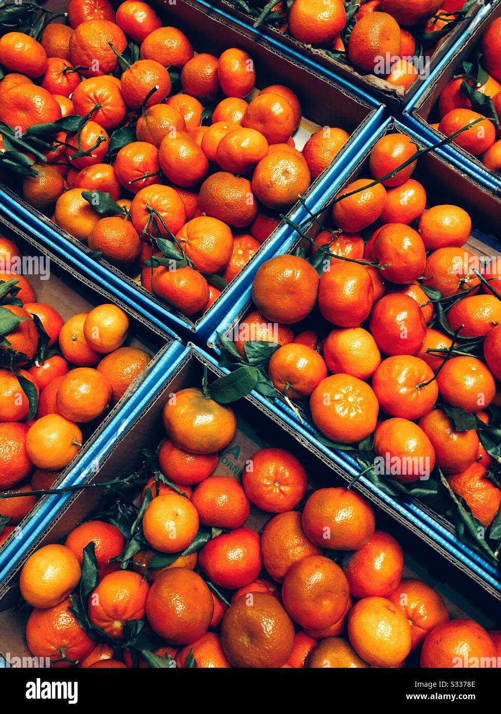 Mandarinen in Kästen am Markt Stockfoto