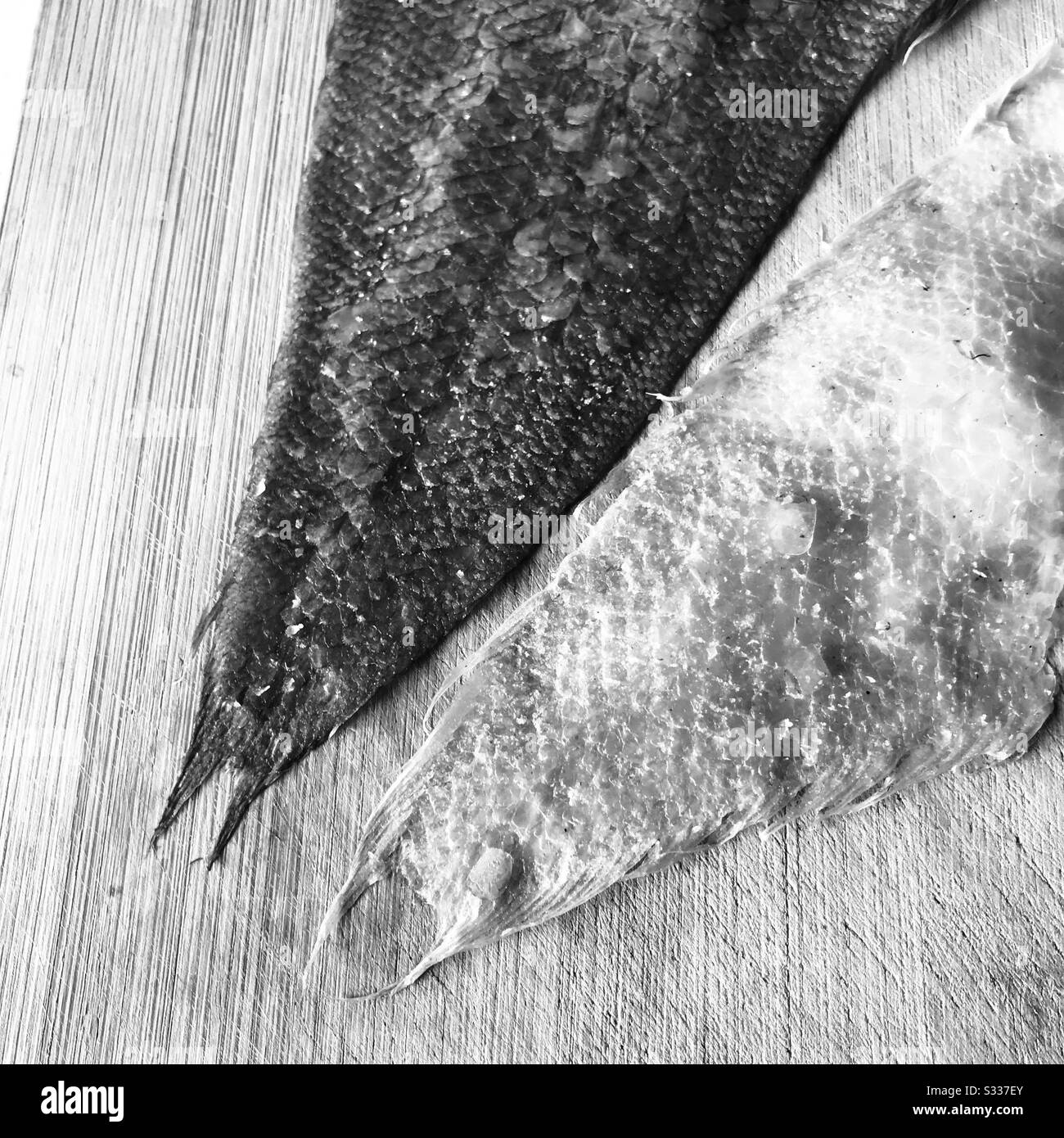 Nahaufnahme von Getrockneter Zungensohle Fischhaut oben und unten Haut alias Manthal Fischwaage auf einem Holzschneidebrett - ein Augenfisch im Schwarz-Weiß-Modus Stockfoto
