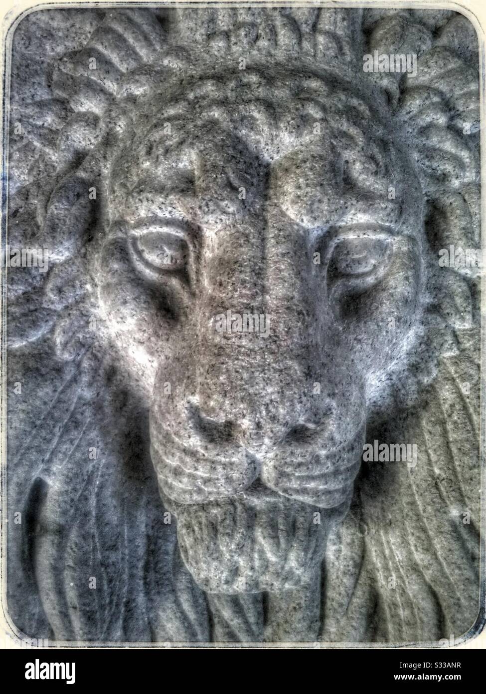Statue Des Löwengesichts - Smartphone-aufgenommenes Stockfoto