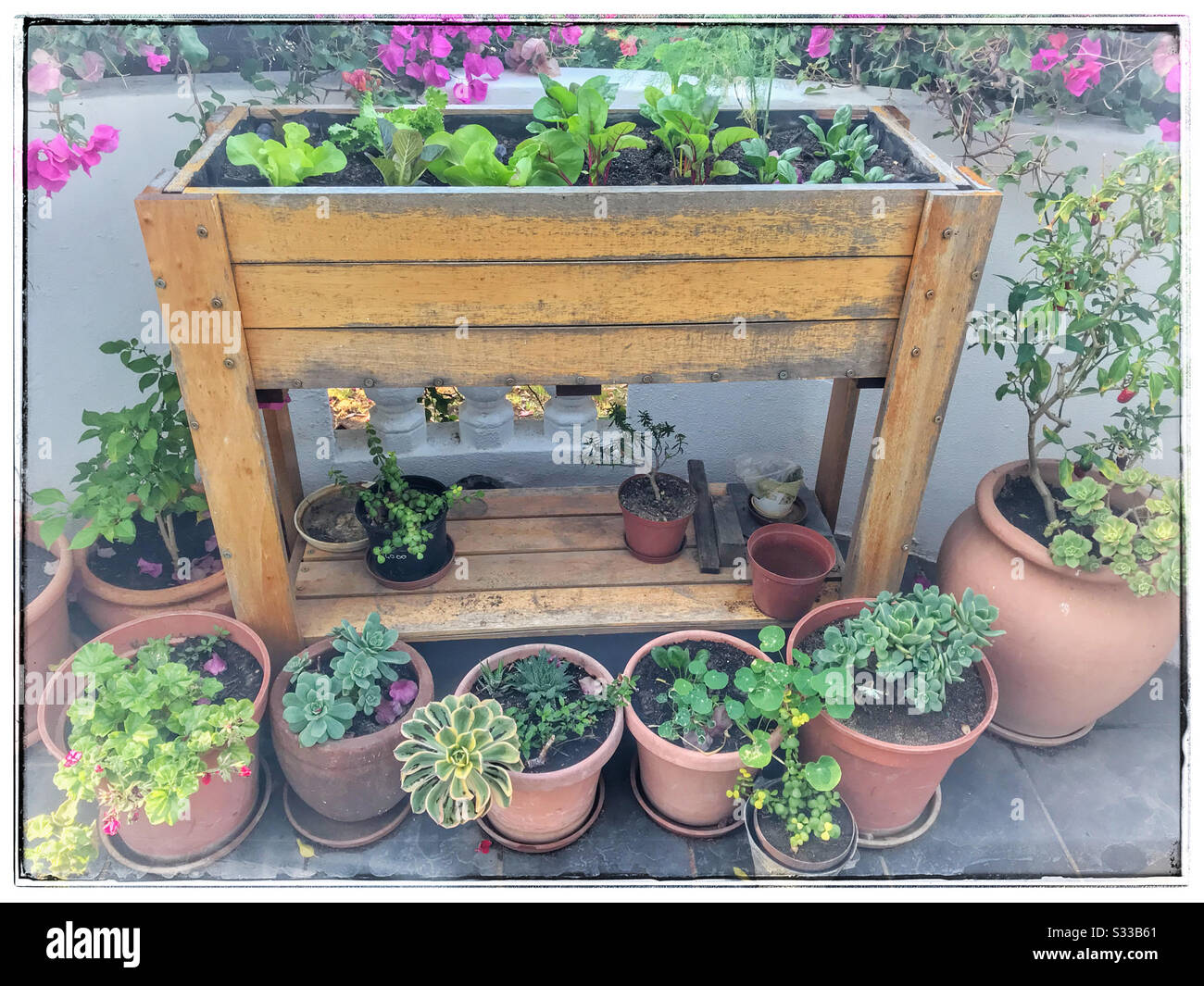 Gartenarbeit auf der Terrasse. - Smartphone-aufgenommenes Stockfoto