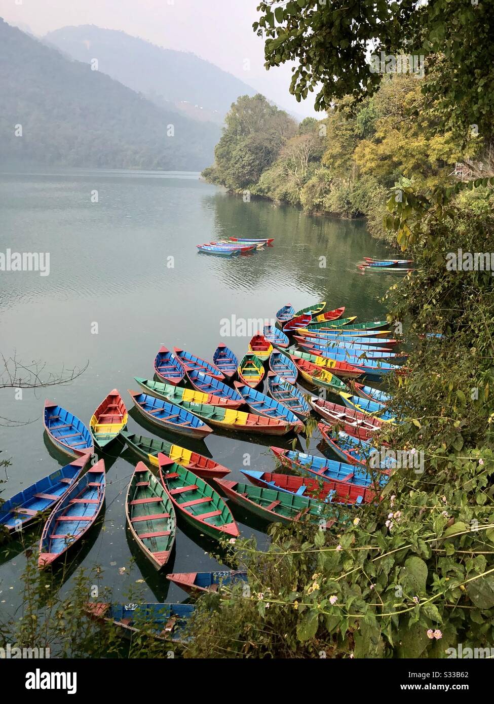 Bunte Boote am See Phewa in Pokhara, Nepal Stockfoto