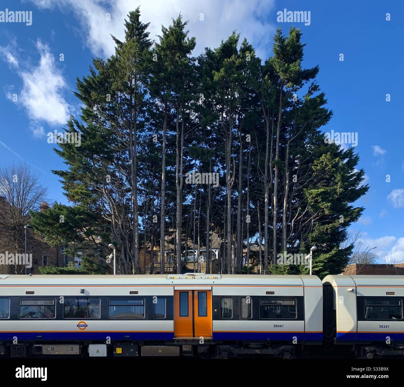 Oberirdische Bahn mit immergrünen Bäumen Stockfoto