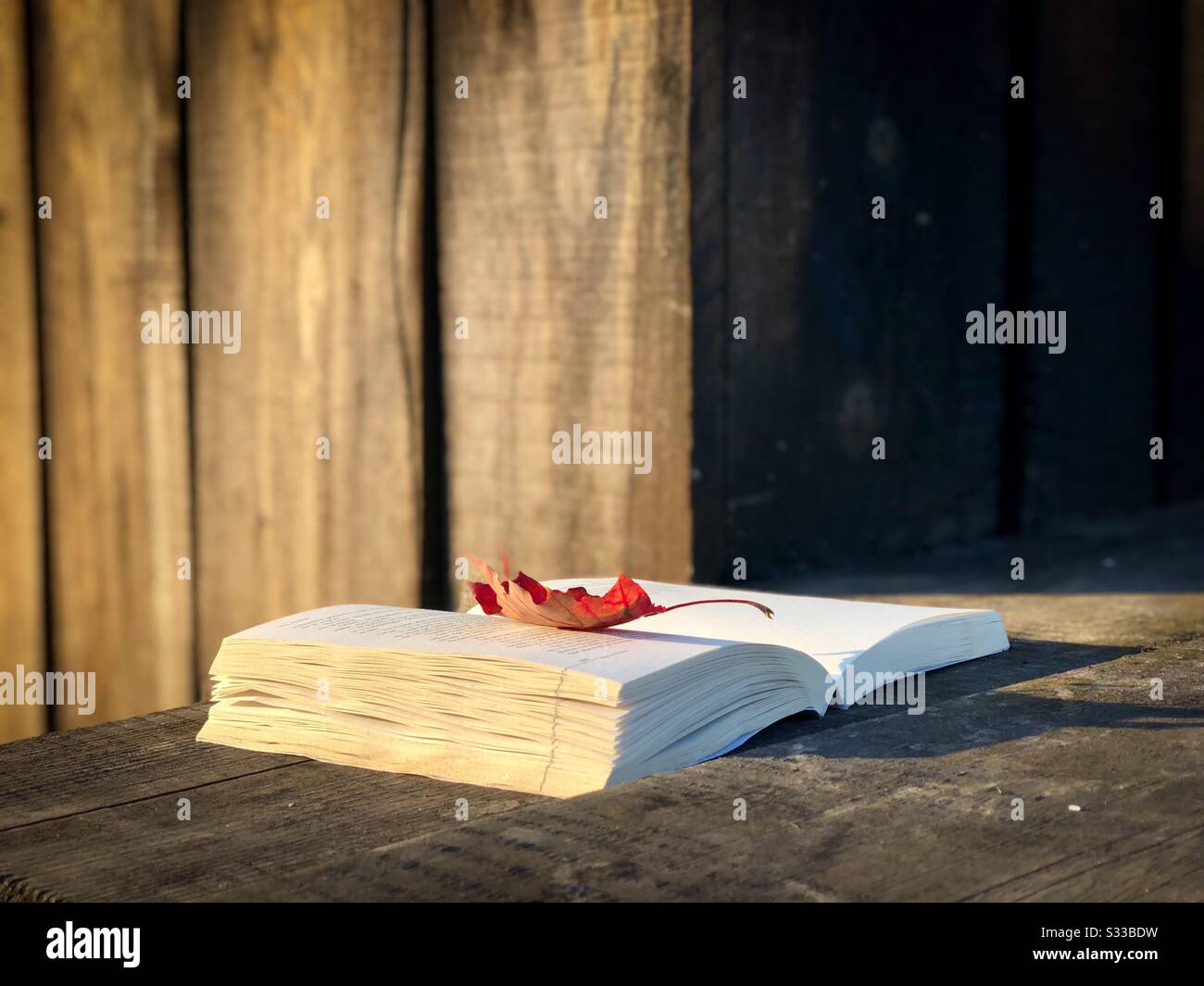 Buch- und Ahorn-Blatt auf Holztisch - Smartphone-aufgenommenes Stockfoto