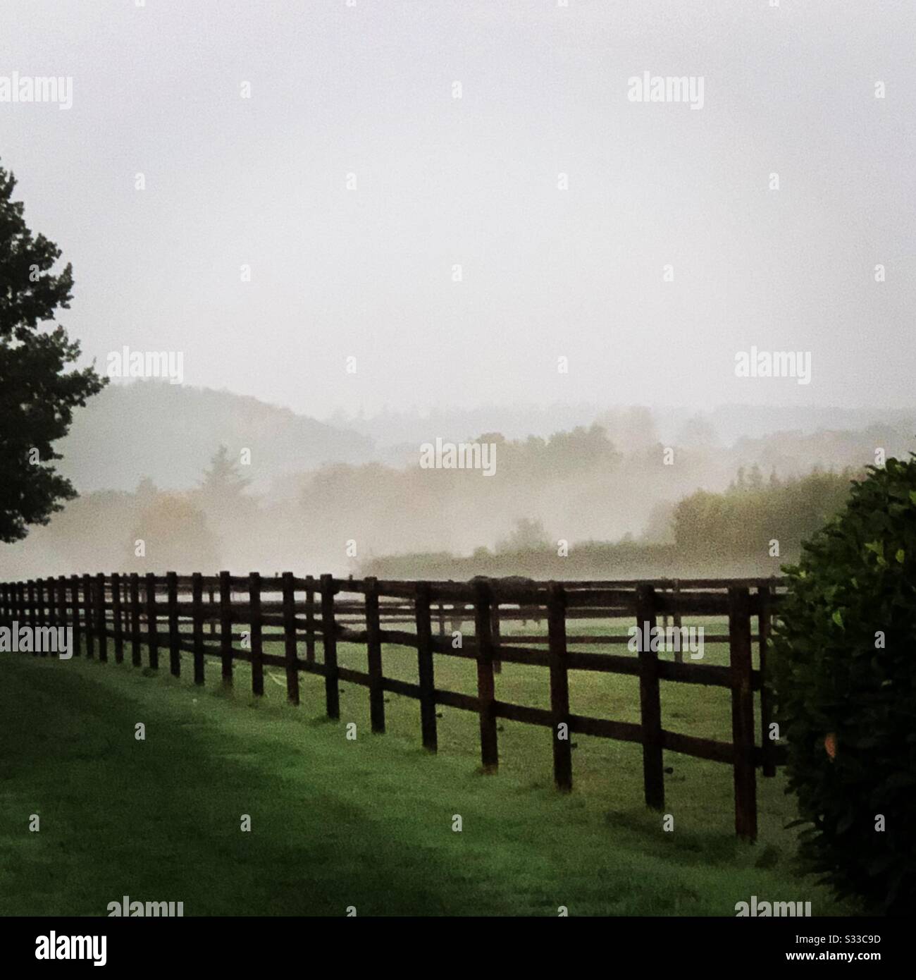 Frühe Morgen... Stockfoto